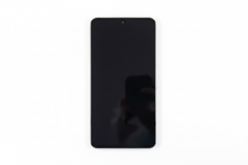 Google Pixel 10 Pro XL front display